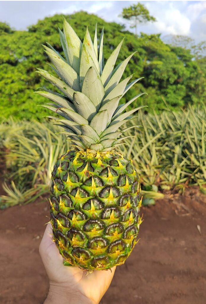 whatsapp image 2026 02 13 at 8.20.00 am (1)