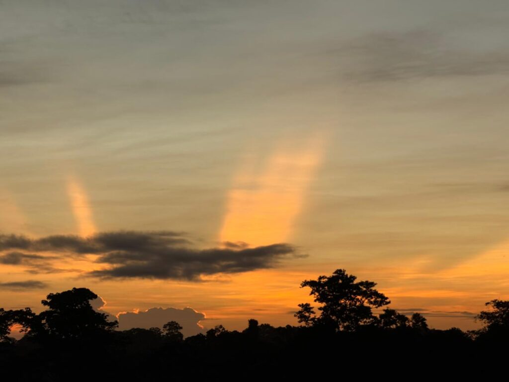 Galería whatsapp image 2026 02 13 at 8.41.29 am