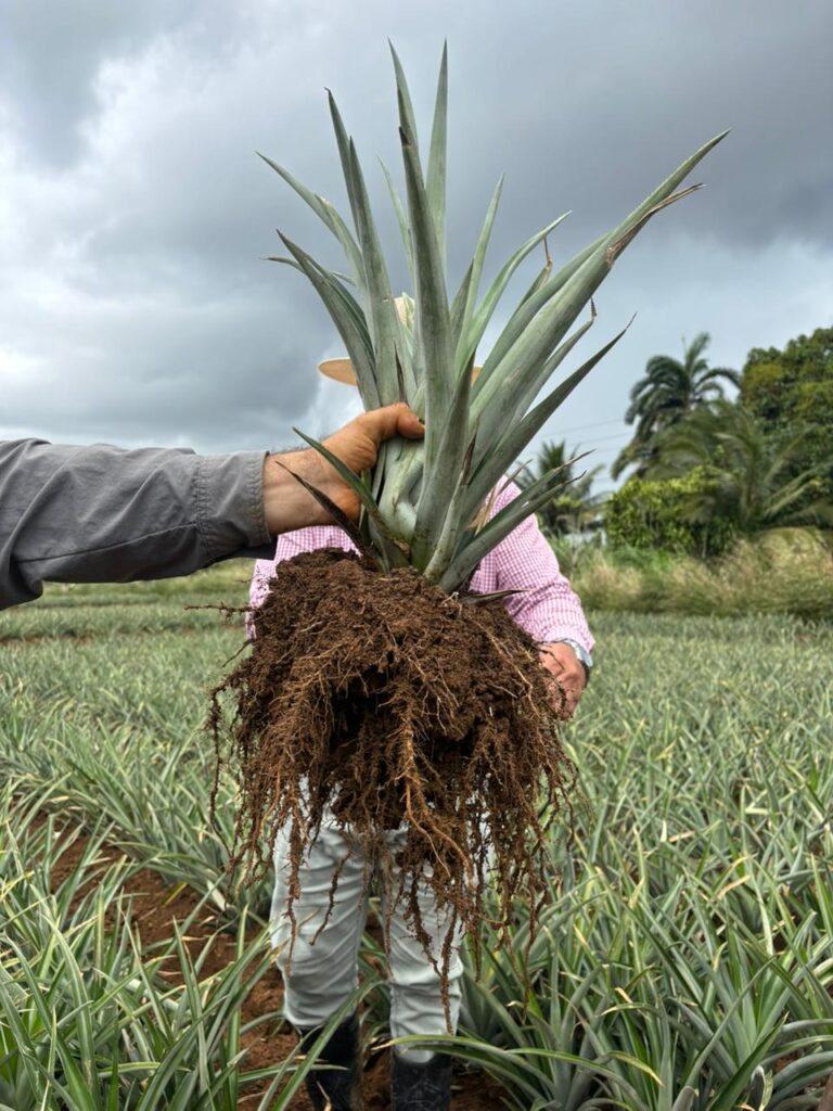 whatsapp image 2026 02 21 at 6.31.13 am (2)