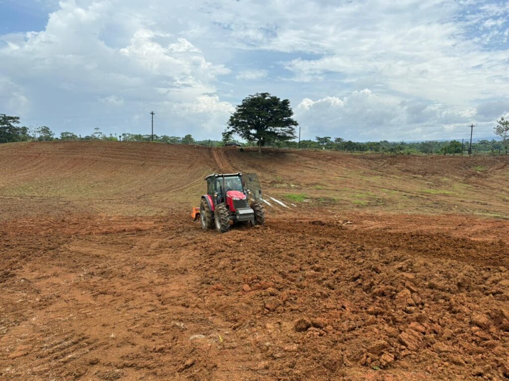 Galería whatsapp image 2026 02 21 at 6.31.17 am