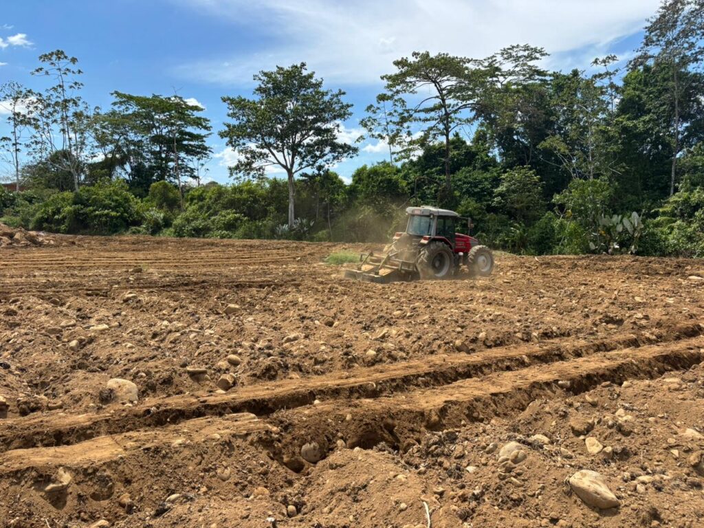 Galería whatsapp image 2026 02 21 at 6.31.25 am