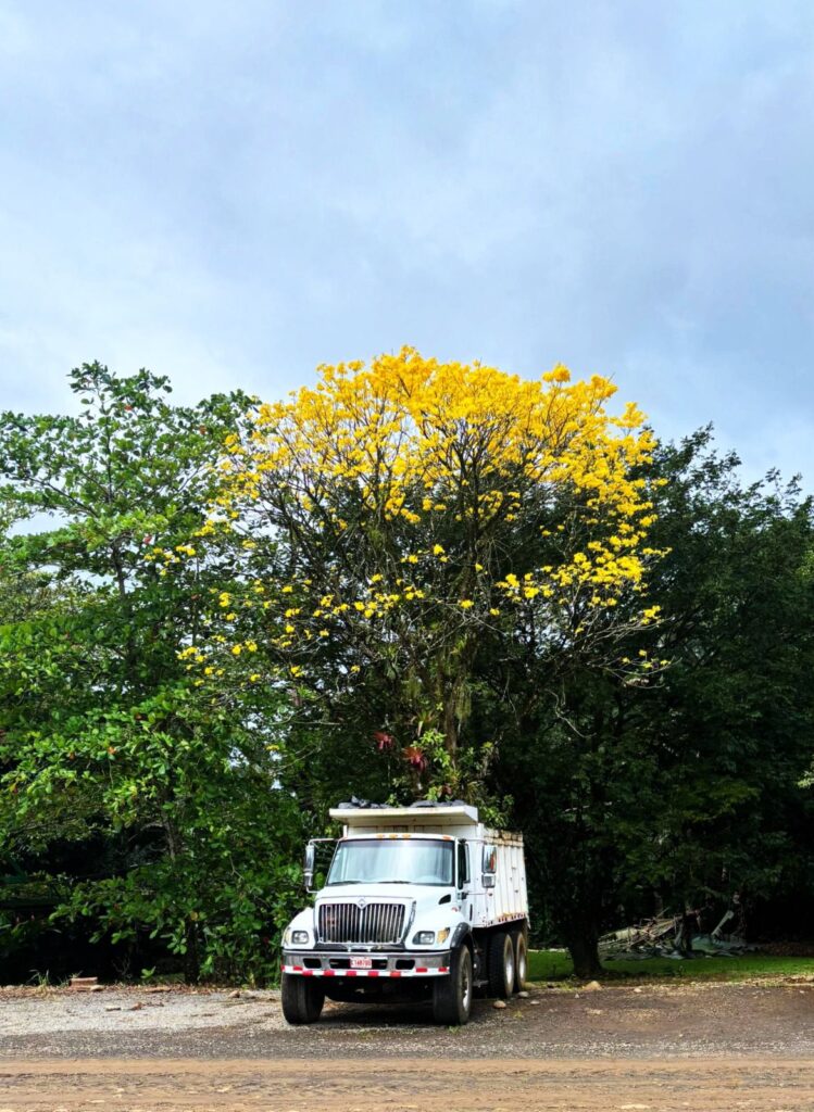 Galería whatsapp image 2026 02 21 at 6.31.26 am (1)