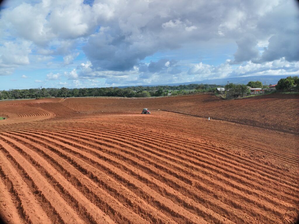 Finca nueva encamado